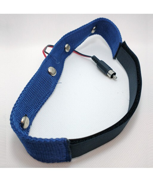 Deworming Pets, accessory.